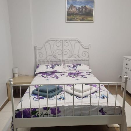 Apartament Zona Centrala Lejlighed Cluj-Napoca Eksteriør billede